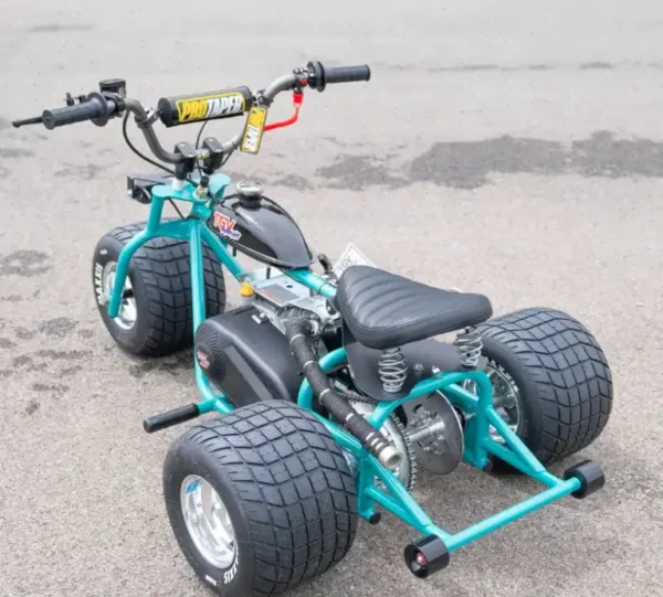 2024 “Island Time” Special Edition Mini Trike! - Image 2