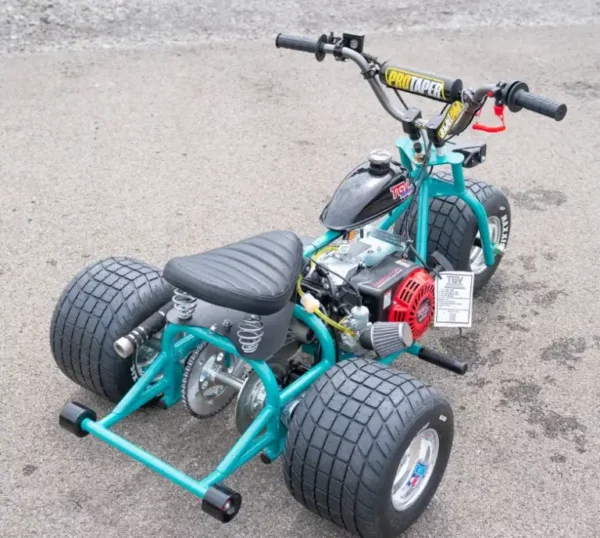 2024 “Island Time” Special Edition Mini Trike! - Image 3